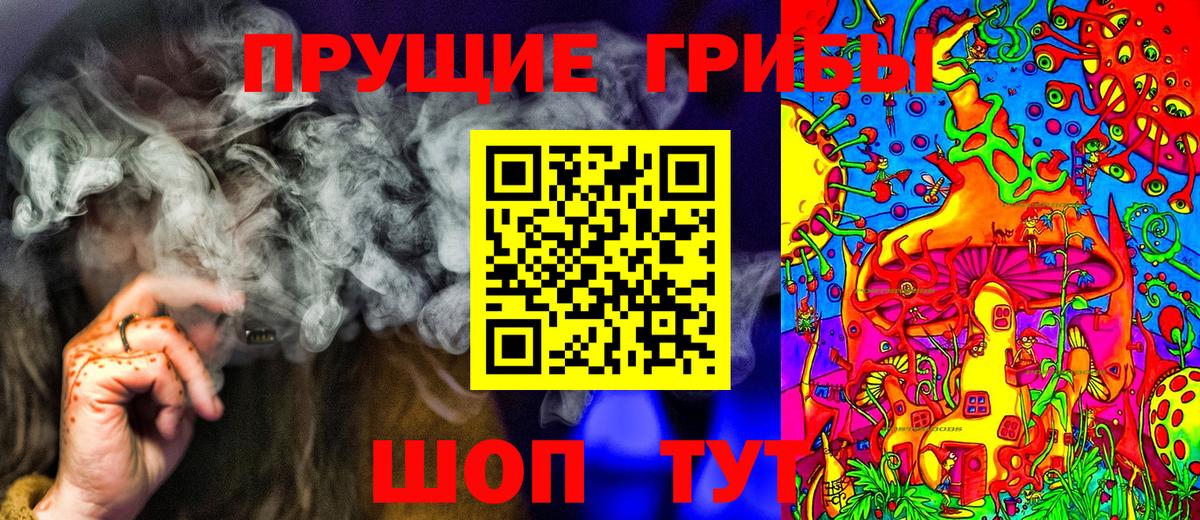 Галлюциногенные грибы мухоморы  купить наркотики цена  Новозыбков  Вход с VPN 